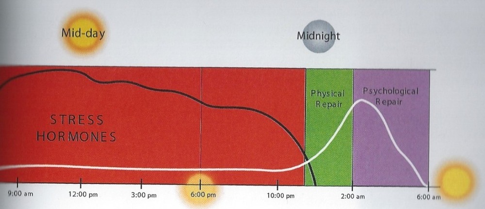 Disrupted sleep wake cycle Disrupted sleep wake cycle