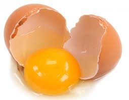 egg egg